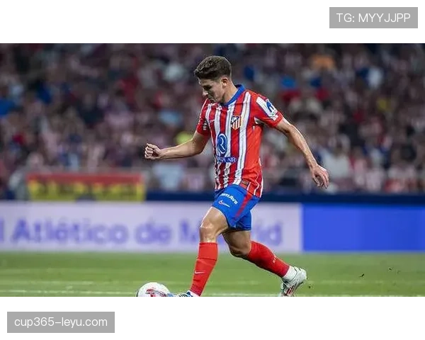 霍村新援加盟显著增强阵容深度，球队竞争力提升引关注