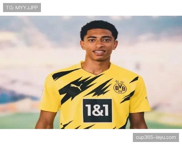 足球新星大集合 足球新星大集合