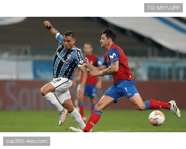 费内巴切整体实力 费内巴切整体实力